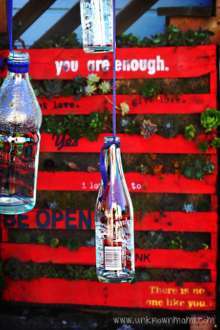 Hanging glass bottles.