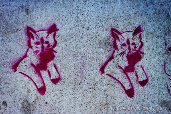 Cats stenciled on sidewalk.