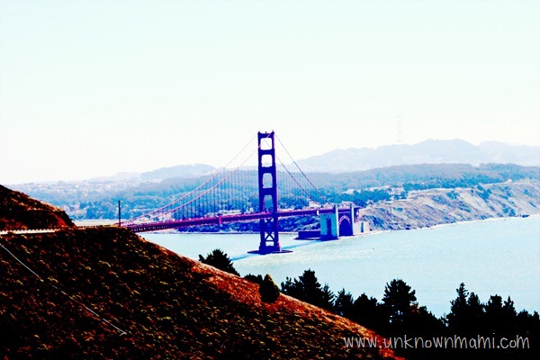 View-of-Golden-Gate-from-Marin-unknownmami