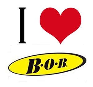 I love BOB Strollers