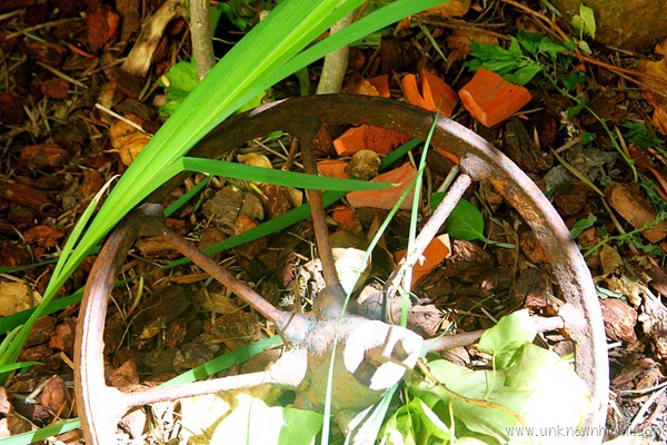 Rusted wheel