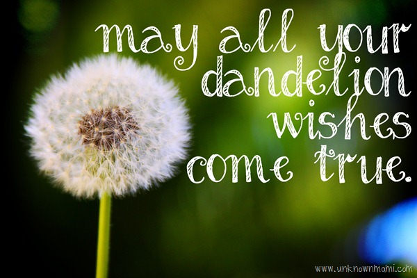 may_all_your_dandelion_wishes_come_true-unknownmami