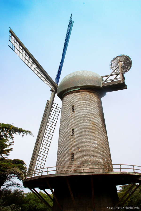 Windmill_in_Golden_Gate_Park-unknownmami