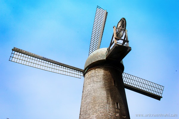 Windmill_in_San_Francisco-unknownmami