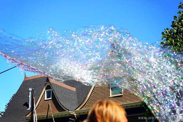The Bubble Guy bubbles