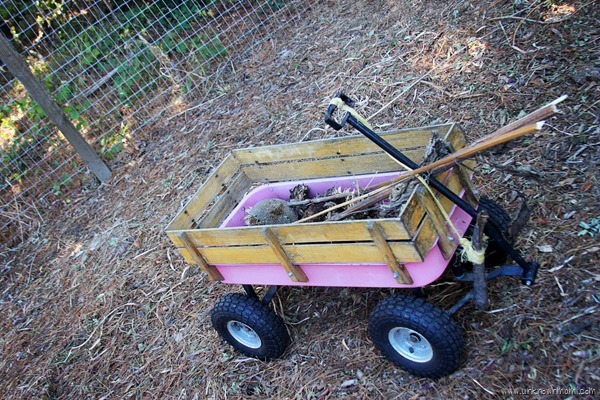 Wagon