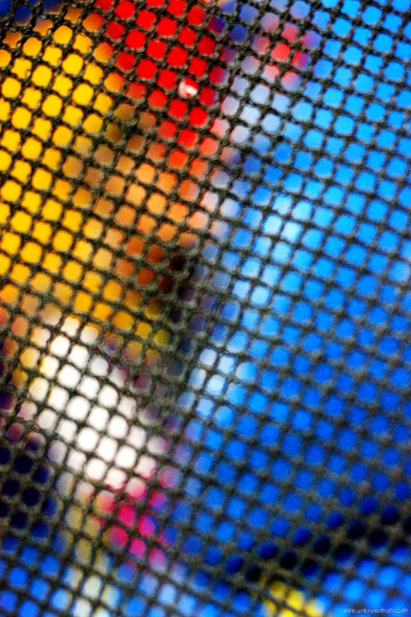 Net at Pump It Up in San Francisco
