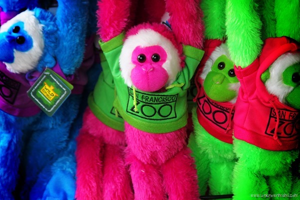 San_Francisco_Zoo-unknownmami