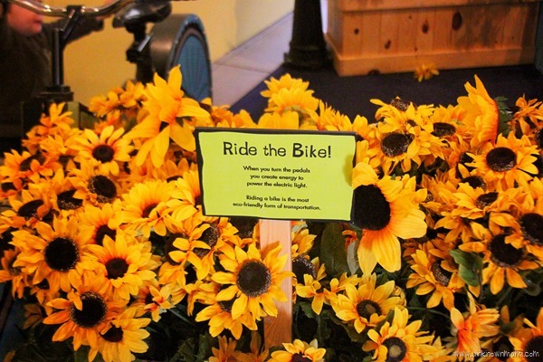 Exhibit at Bay Area Discovery Museum