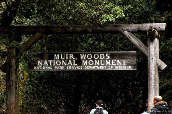 Muir Woods entrance