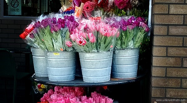 Flowers in buckets