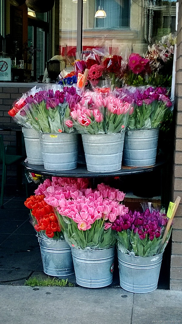 Buckets of flowers