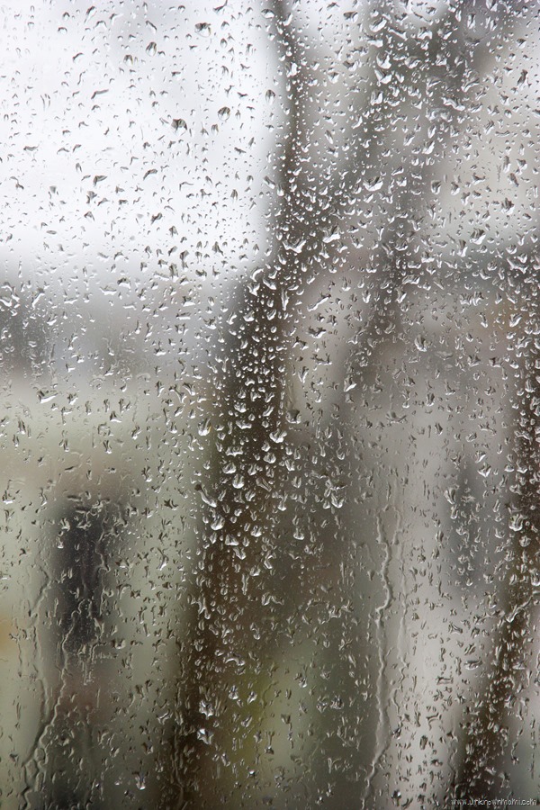 Rain on window