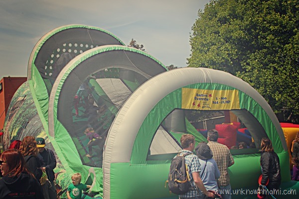 DogFest 2014