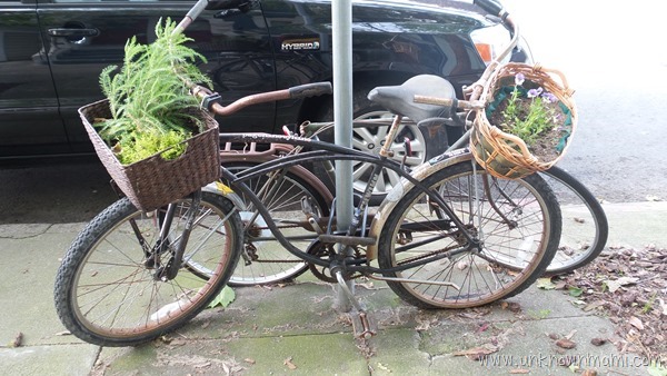 Bicycle with a garden in basket
