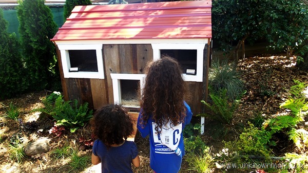 Chicken coop