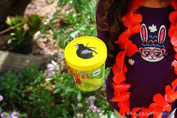 Ladybugs for the garden