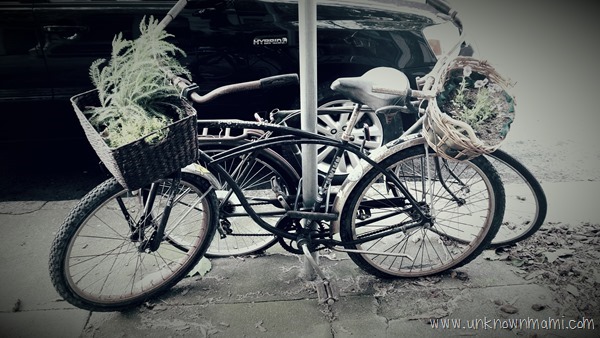 Garden on a bike