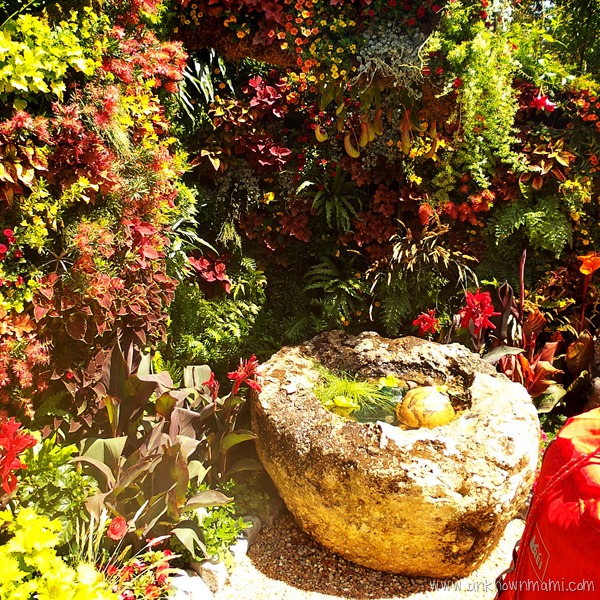 Sunset small space garden