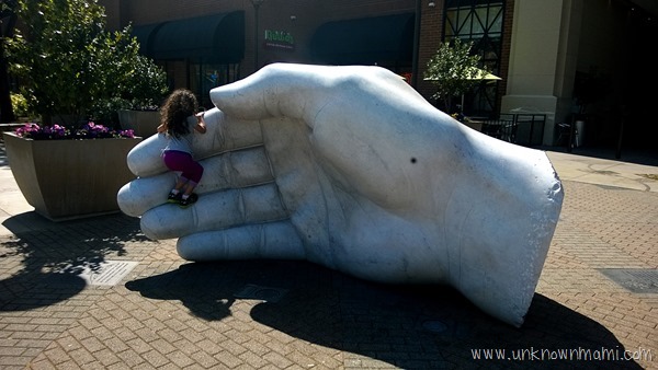 Hand in Santa Rosa