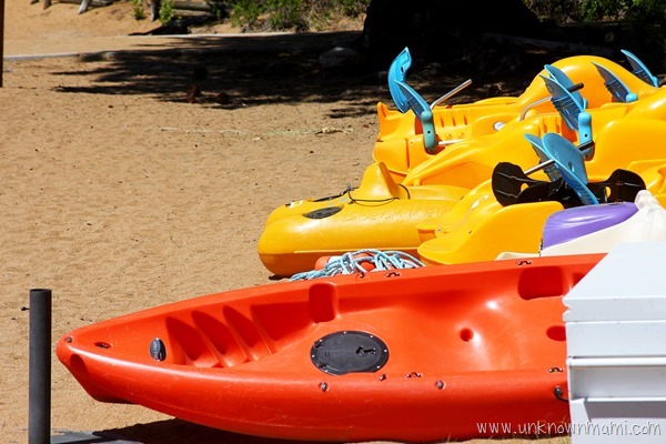 Paddle boats at Lake Tahoe