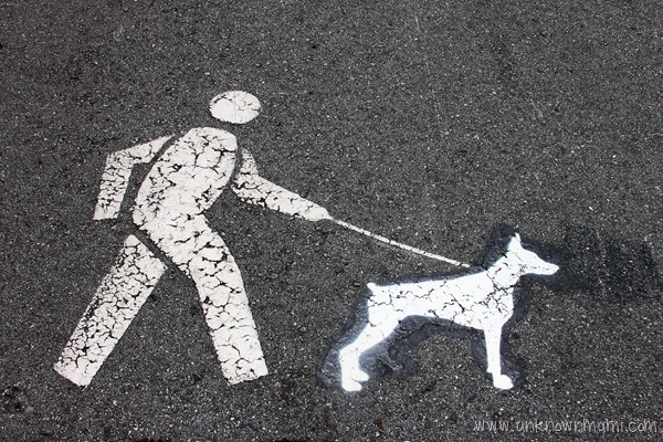 Dog on leash sign at Duboce Park