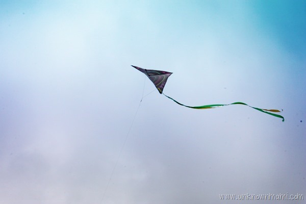 Flying a kite
