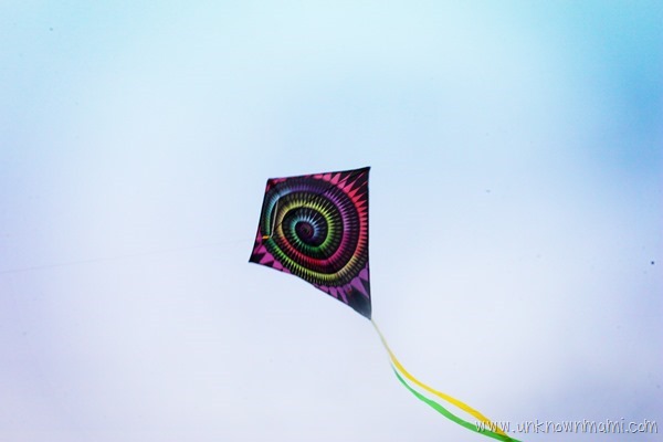 Kite in the sky