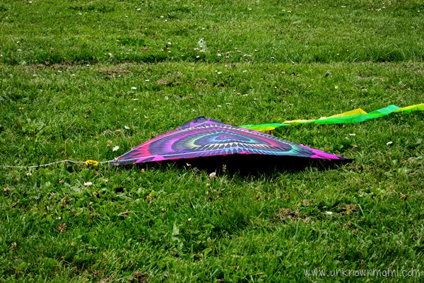Kite on the ground
