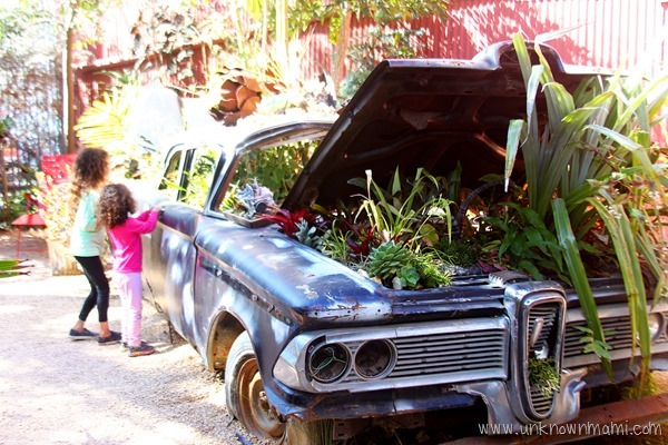 car used as planter