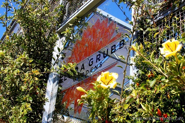Flora Grubb in San Francisco