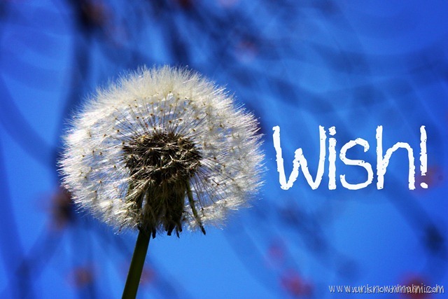 Wednesday Wishes