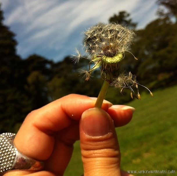I Wished for Something Amazing and I Got It!