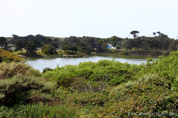 Lake Merced in San Francisco