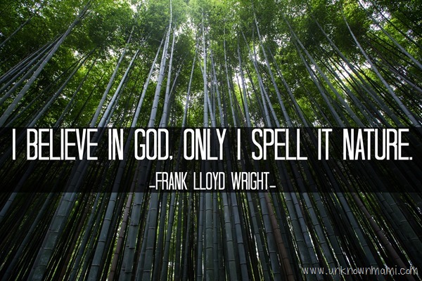 Frank Lloyd Wright Nature Quote