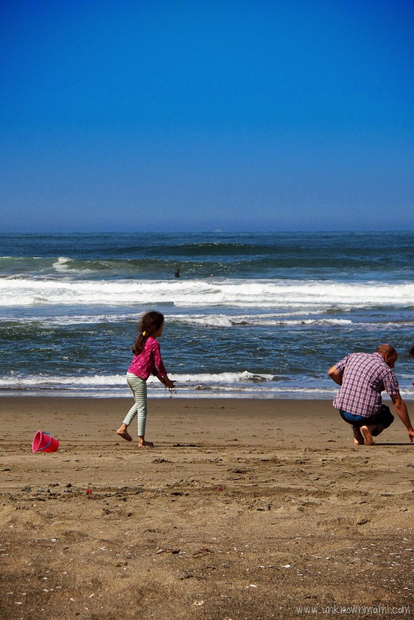 Ocean Beach