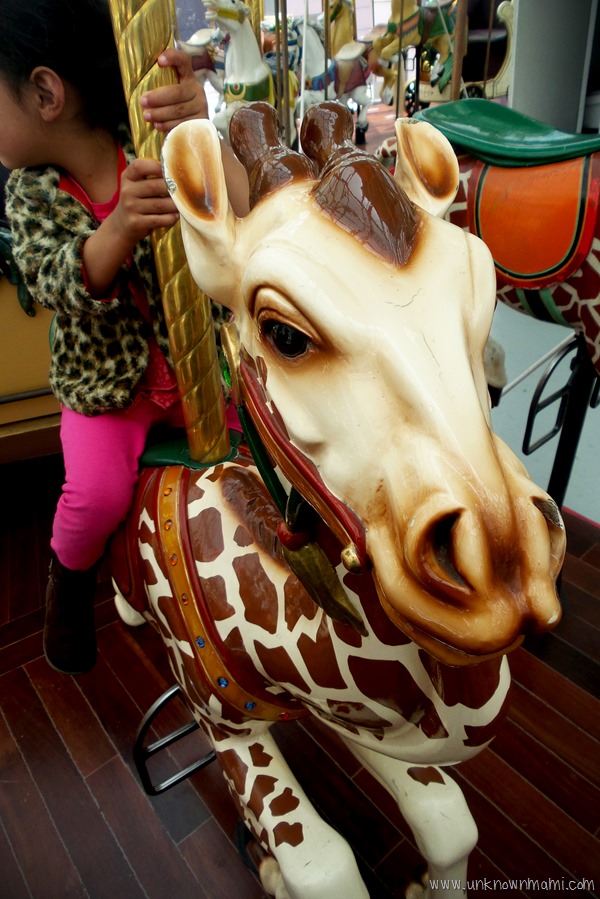 Riding LeRoy King Carousel