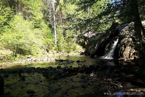 Lewis Creek Trail in Sugar Pine, California