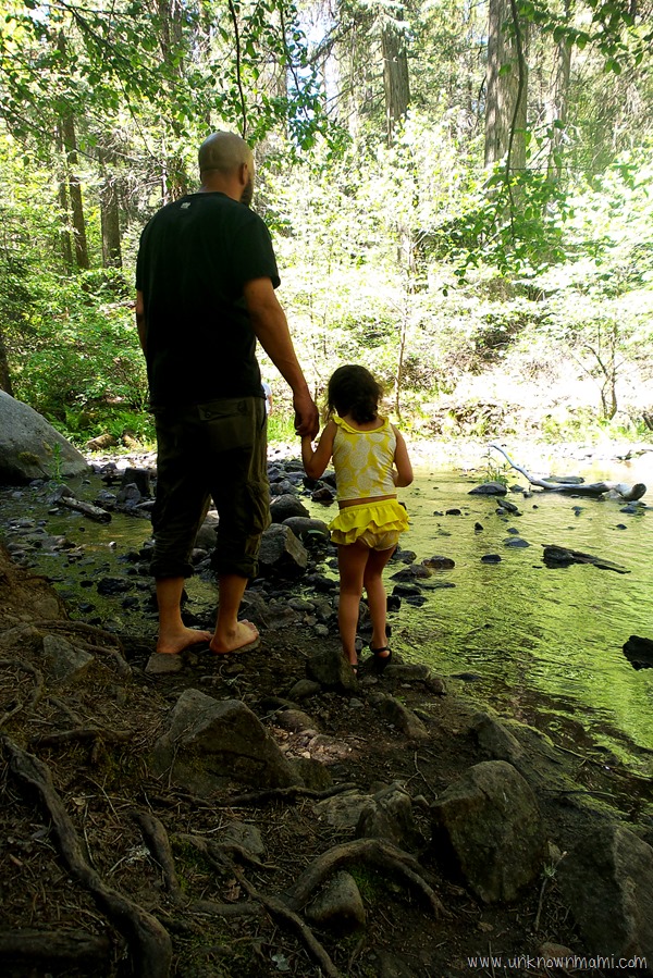 Lewis Creek Trail