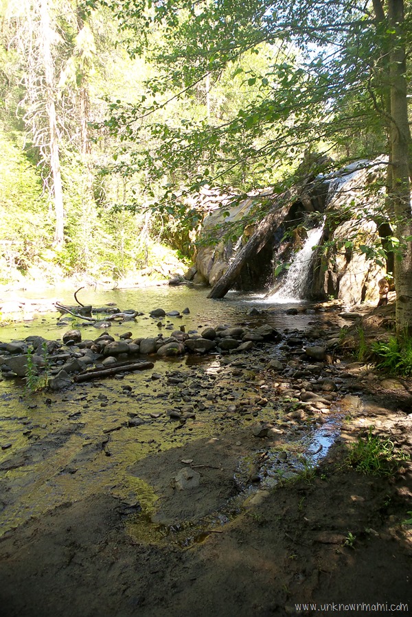 Waterfall on Lewis Creek Trail