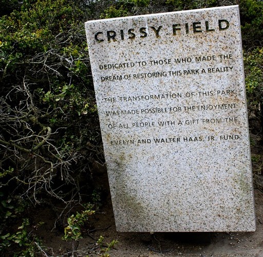 Crissy Field