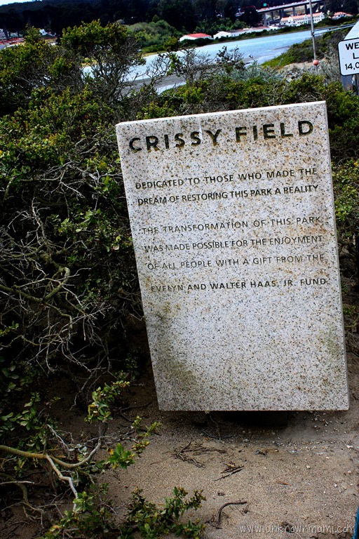 Crissy Field (Sundays In My City)