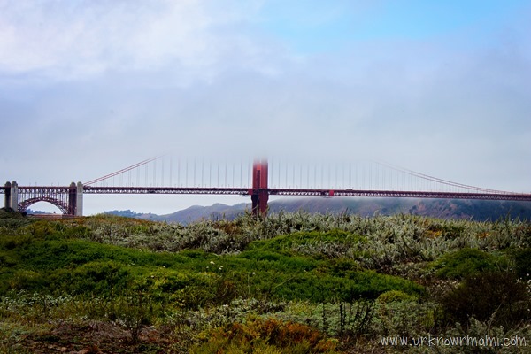 Golden-Gate-Bridge-Crissy-Field-unknownmami