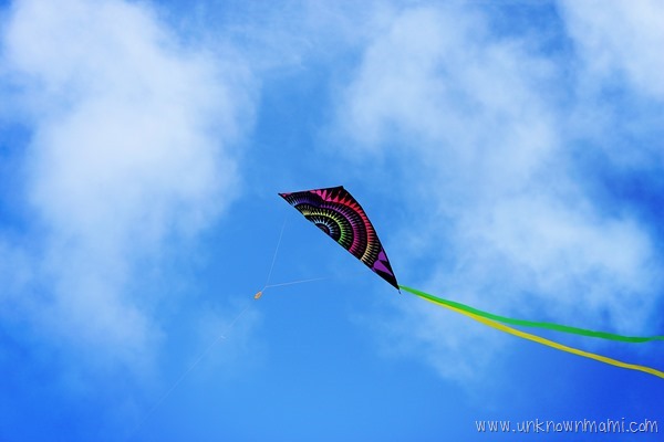 Kite