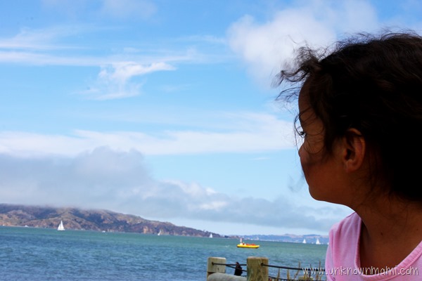 Looking out from Crissy Field shoreline
