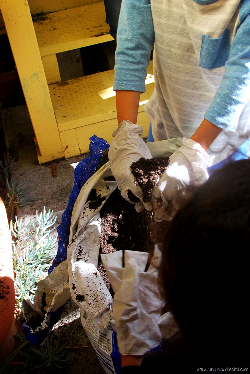 Hands in soil