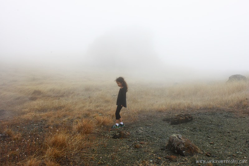 Mount Tamalpais on a foggy day
