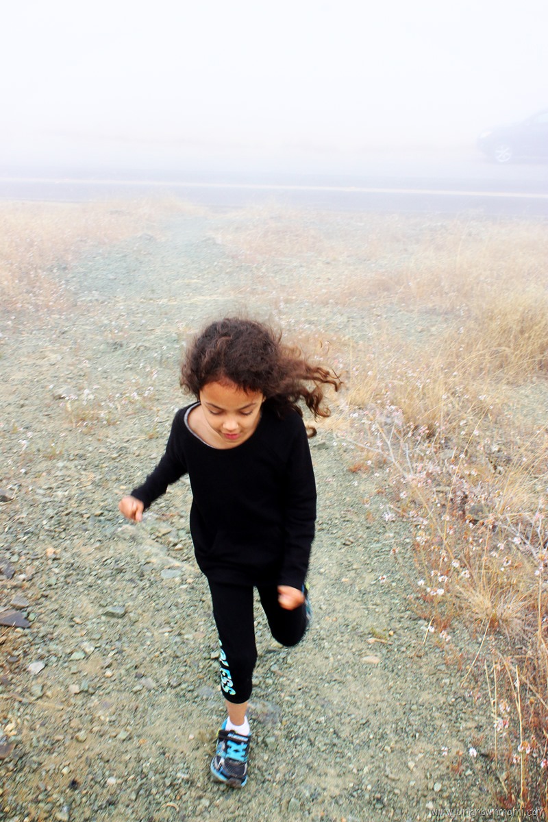 Hiking on Mount Tamalpais