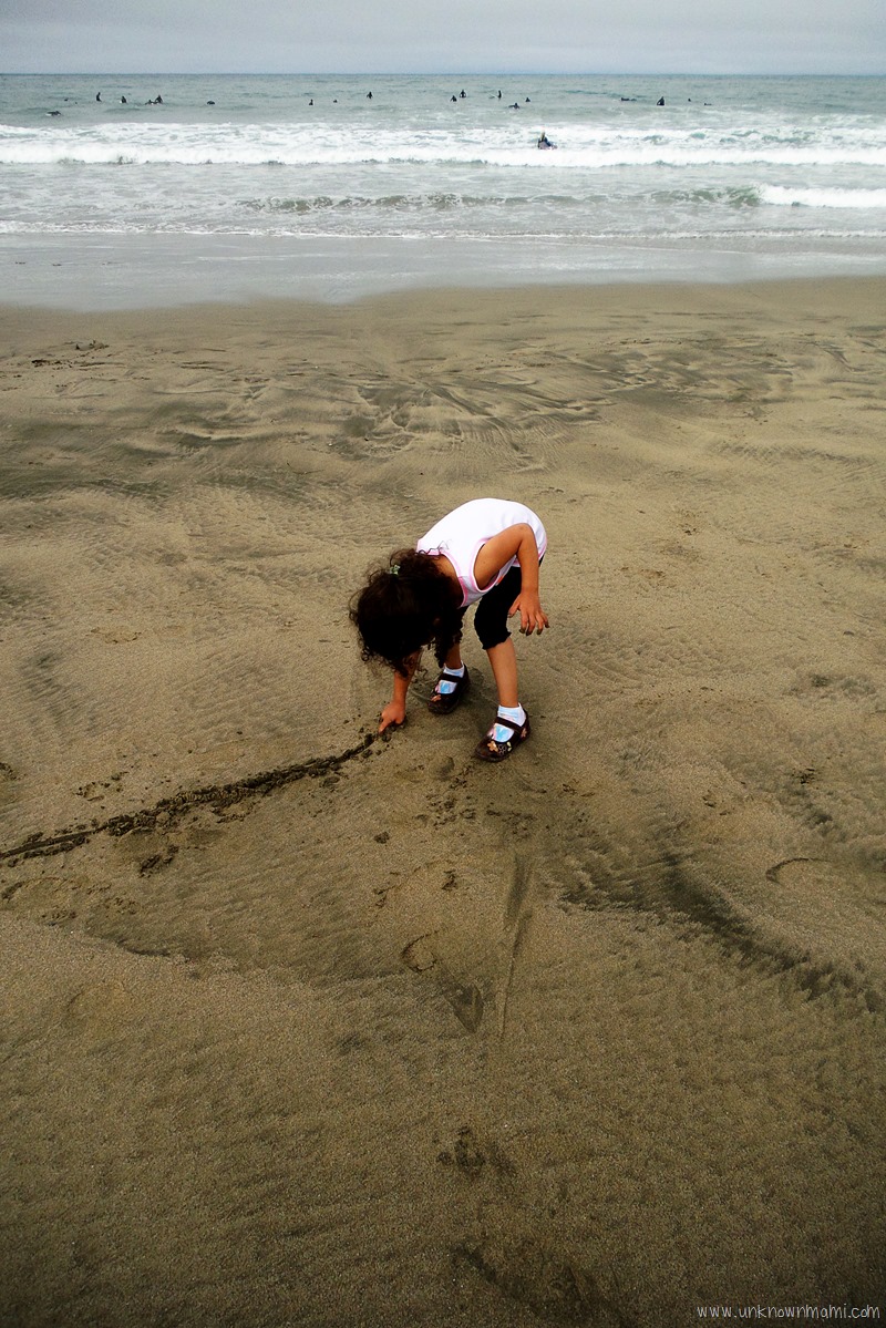 Pacifica State Beach