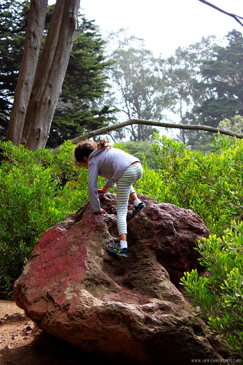 Hiking around Stow Lake